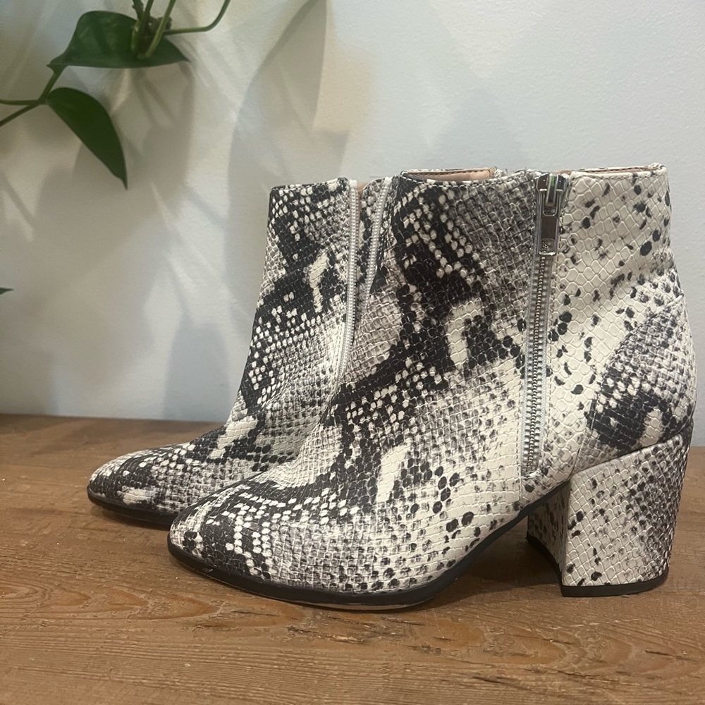 Steve Madden Snakeskin booties